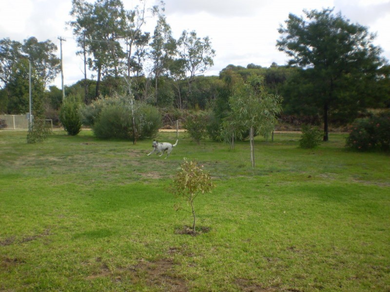 173 Riverdale Rd, Cookernup WA 6220