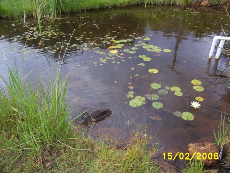 173 Riverdale Rd, Cookernup WA 6220