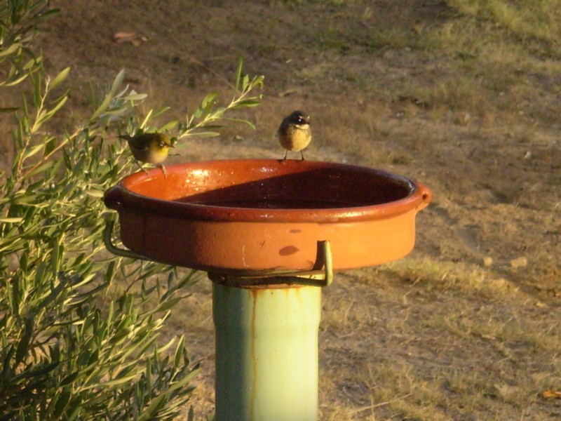 173 Riverdale Rd, Cookernup WA 6220