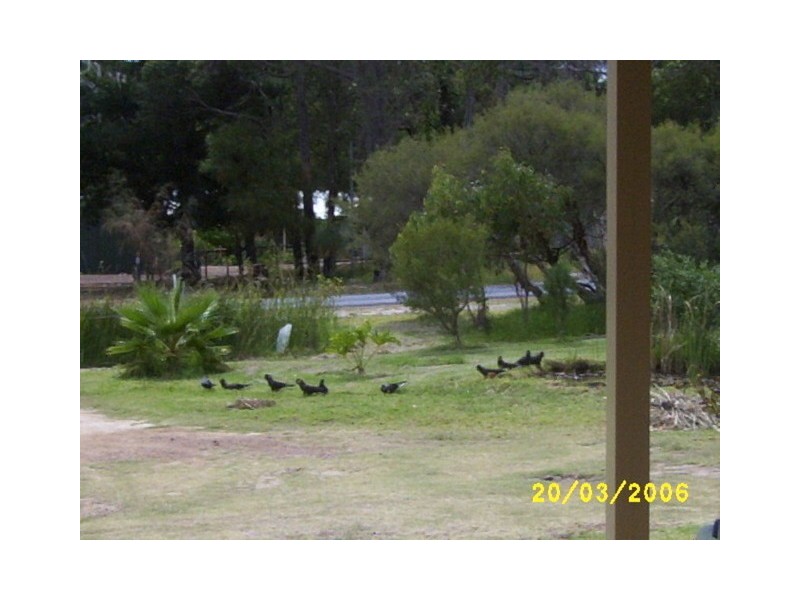 173 Riverdale Rd, Cookernup WA 6220