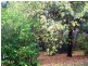 68 Stitchling Street, Carrajung VIC 3844
