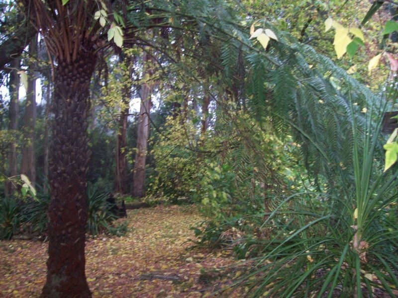 68 Stitchling Street, Carrajung VIC 3844