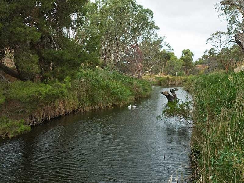 6 Stark Court, Willyaroo SA 5255