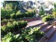 11 Butterworth St, Castlemaine VIC 3450
