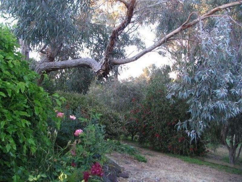11 Butterworth St, Castlemaine VIC 3450