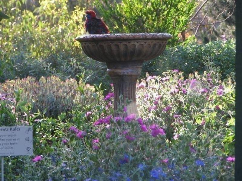 11 Butterworth St, Castlemaine VIC 3450