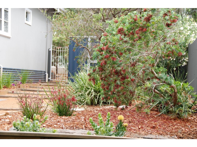 125 Walter Rd East, Bassendean WA 6054