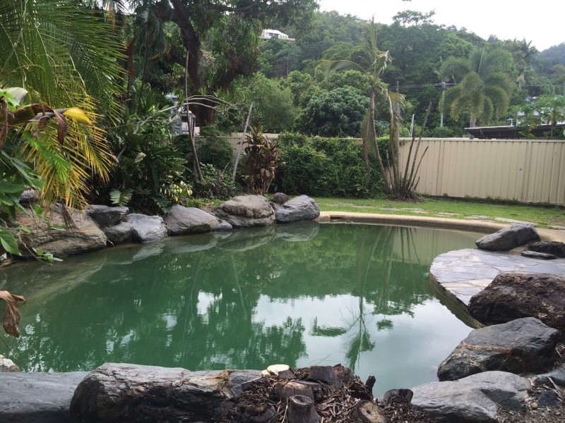 8 Carmen Street, Earlville QLD 4870