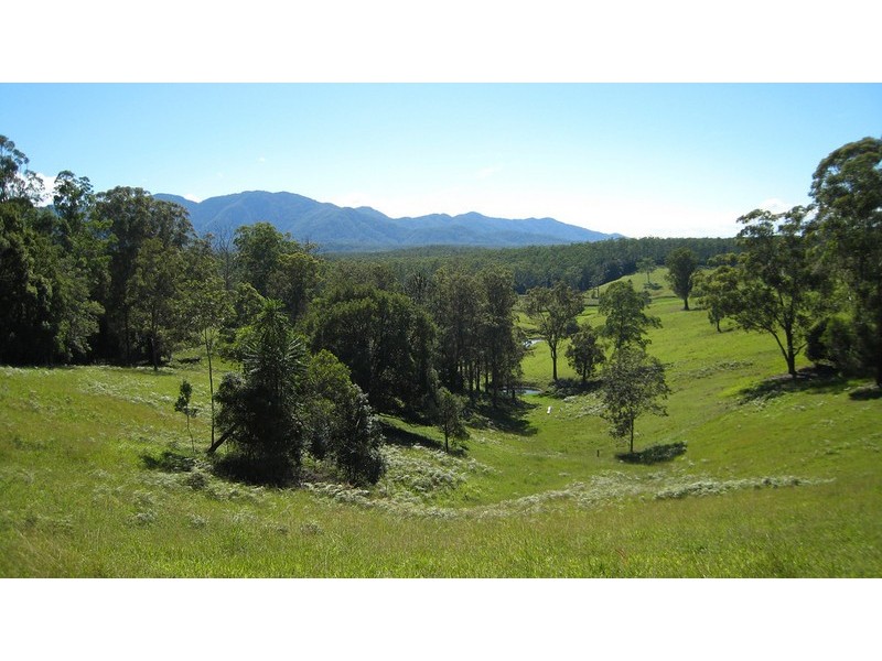 105 Kethels Road, Bellingen NSW 2454