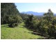 105 Kethels Road, Bellingen NSW 2454