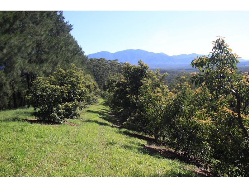105 Kethels Road, Bellingen NSW 2454