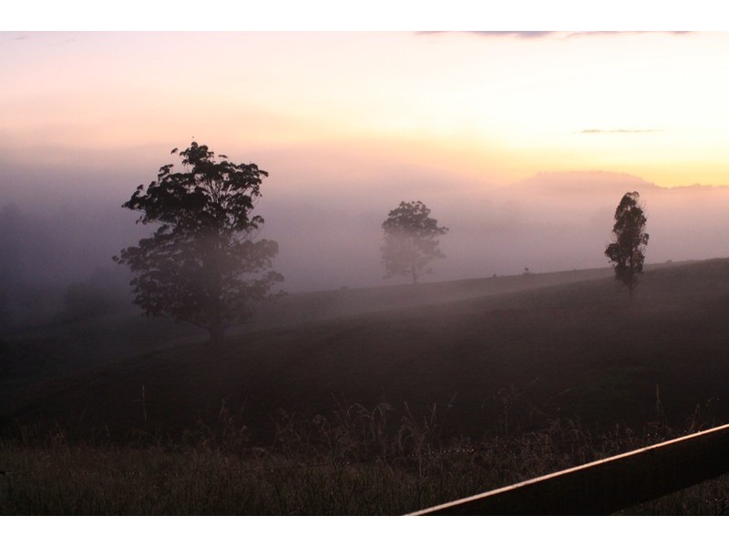 105 Kethels Road, Bellingen NSW 2454