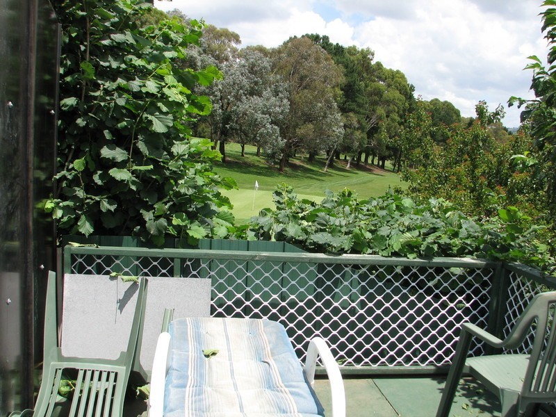 35 Dodsworth St, Queanbeyan NSW 2620