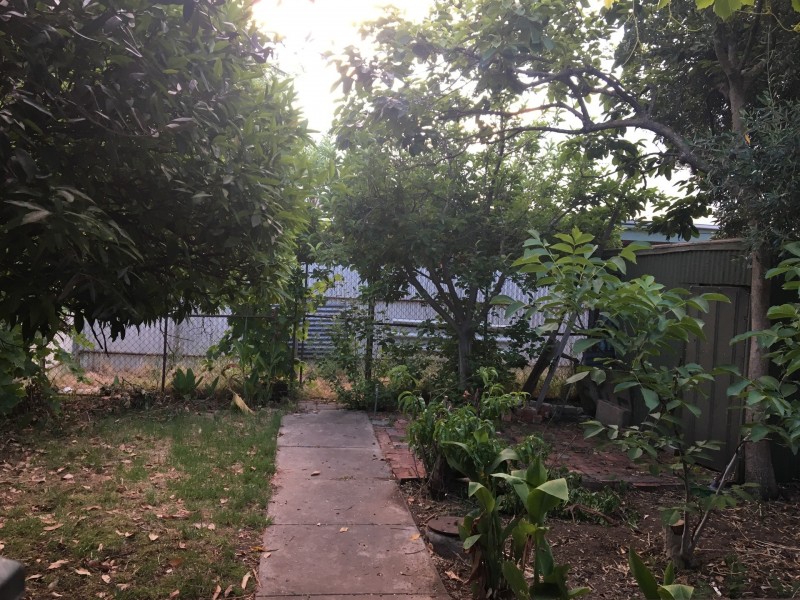 8 Maesbury Street, Kensington SA 5068