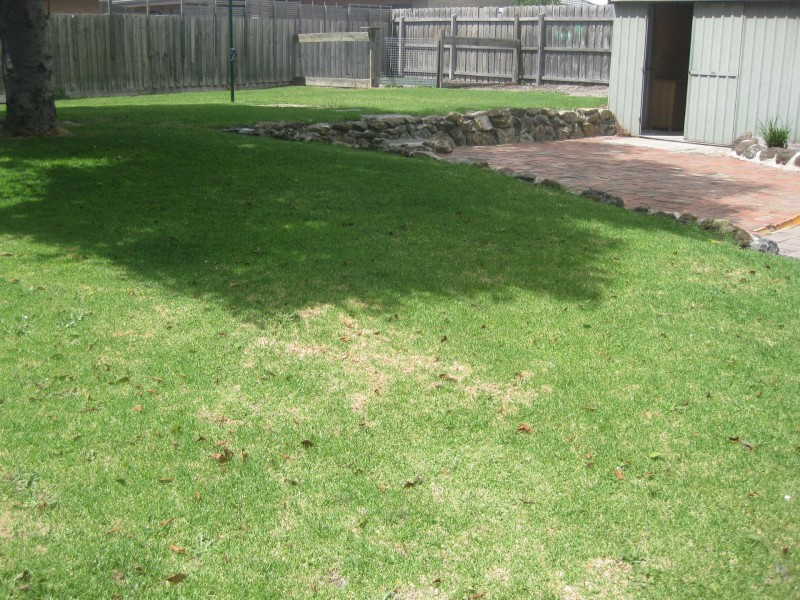 4 Ashleigh Avenue, Frankston VIC 3199