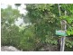 194 Yakapari Habana Road, The Leap QLD 4740