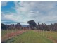 269 Williamsons Road, Warragul VIC 3820