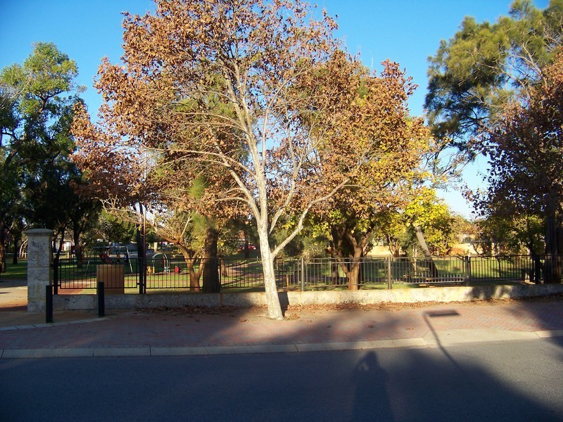 28  Nottingham Parkway, Orelia WA 6167