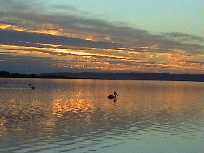 11 Finniss Street, Clayton SA 5256