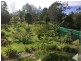 4 Freeman Court, Witta QLD 4552