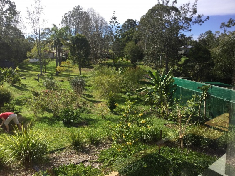 4 Freeman Court, Witta QLD 4552