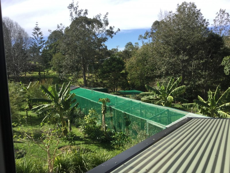 4 Freeman Court, Witta QLD 4552