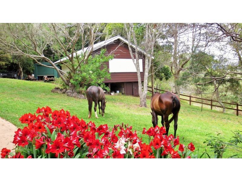 18 South West Road, Beechmont QLD 4211