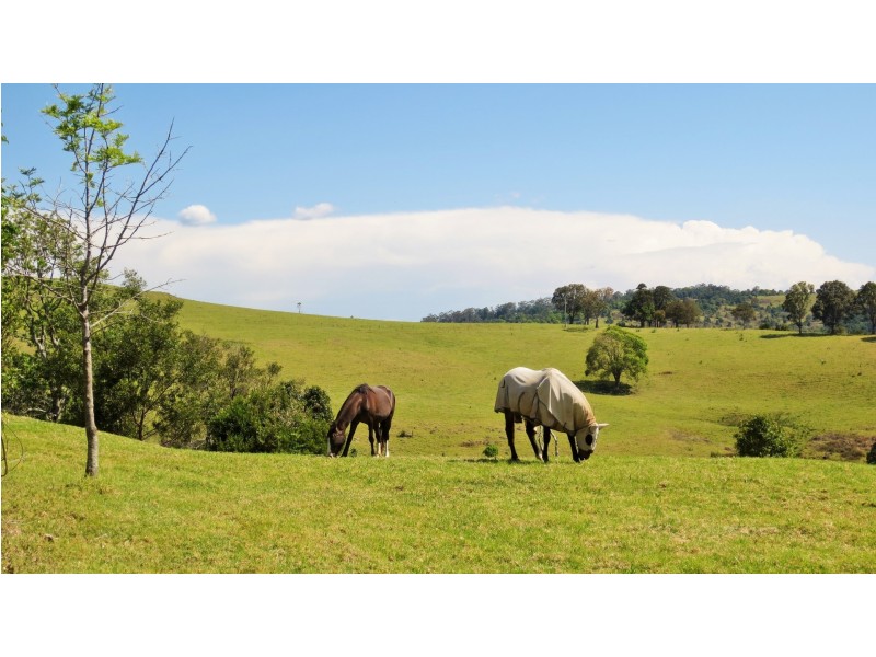 18 South West Road, Beechmont QLD 4211