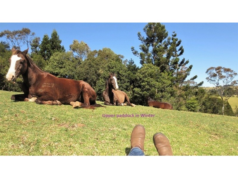 18 South West Road, Beechmont QLD 4211