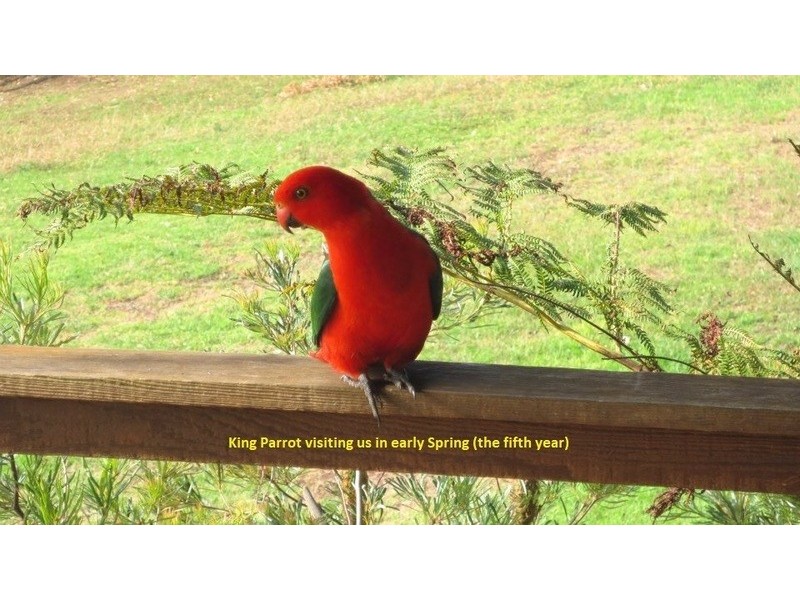 18 South West Road, Beechmont QLD 4211