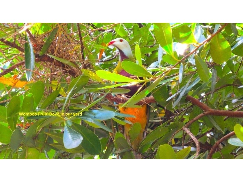 18 South West Road, Beechmont QLD 4211