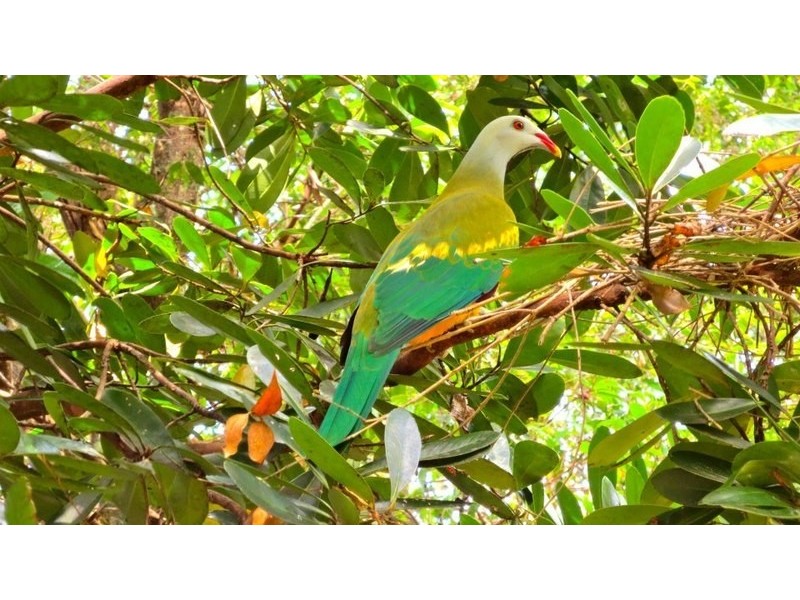 18 South West Road, Beechmont QLD 4211