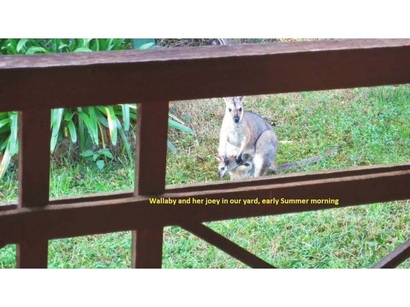 18 South West Road, Beechmont QLD 4211