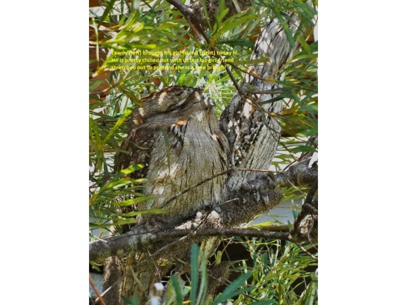 18 South West Road, Beechmont QLD 4211