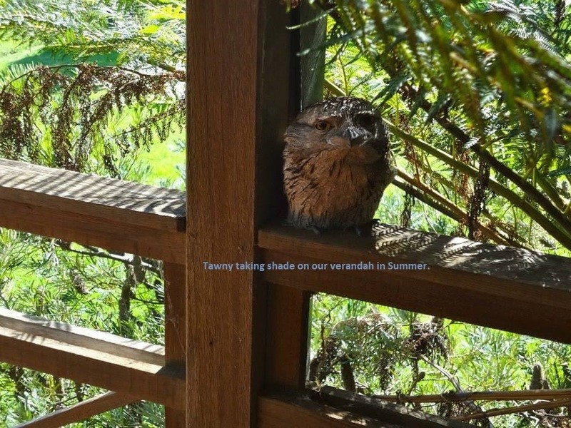 18 South West Road, Beechmont QLD 4211