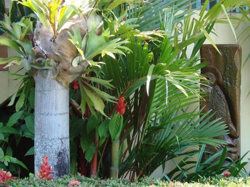 31 Moresby Street, Trinity Beach QLD 4879