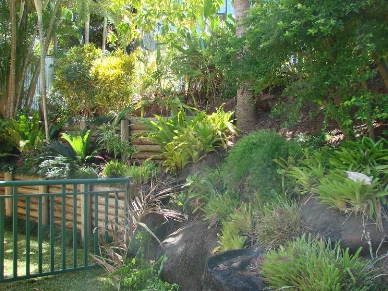 31 Moresby Street, Trinity Beach QLD 4879