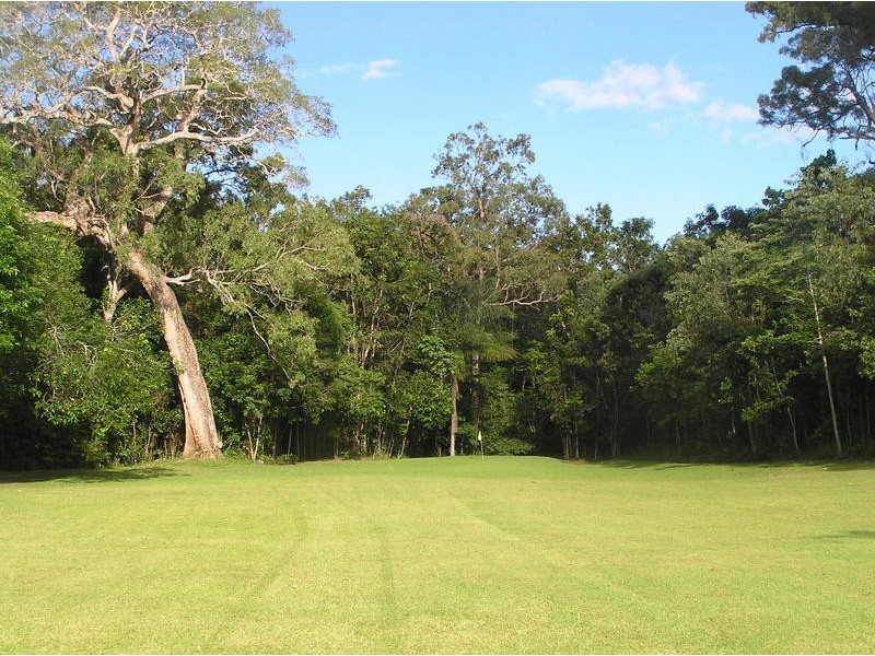 313 (Lot 5) Bloodwood Road, Bloomfield QLD 4895