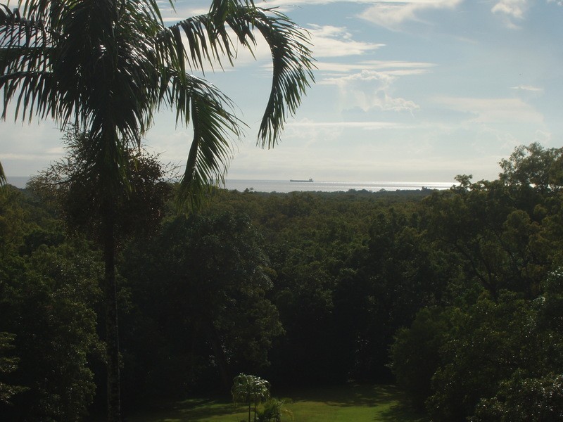 313 (Lot 5) Bloodwood Road, Bloomfield QLD 4895