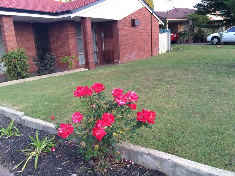 8 Willow Creek Mews, Woodvale WA 6026