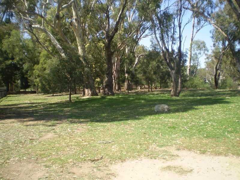 175 Torgannah Road, Koonoomoo VIC 3644