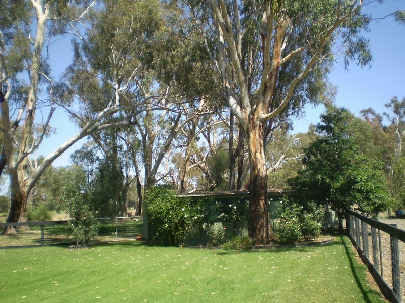 175 Torgannah Road, Koonoomoo VIC 3644