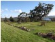 960 Killora Road, Bruny Island TAS 7150