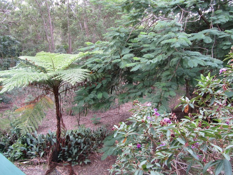 25 Bertana Drive, Mudgeeraba QLD 4213
