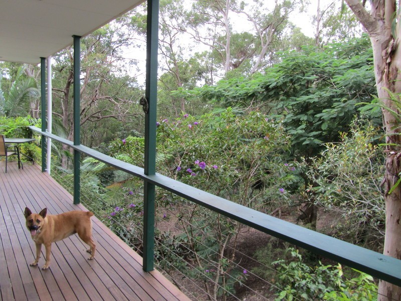 25 Bertana Drive, Mudgeeraba QLD 4213