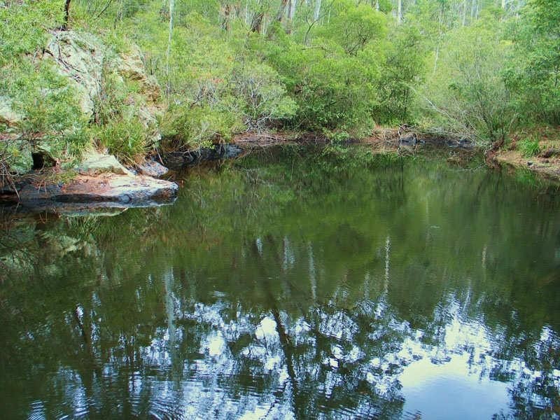 369 Devils Hole Road, Wyndham NSW 2550