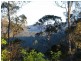 369 Devils Hole Road, Wyndham NSW 2550