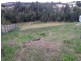 13 Olivia Court, Kingston TAS 7050
