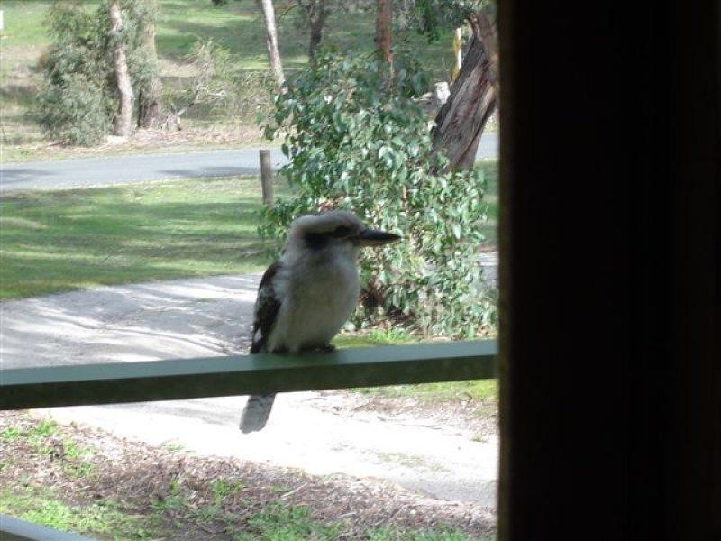 168 Mount Doran Road, Elaine VIC 3334