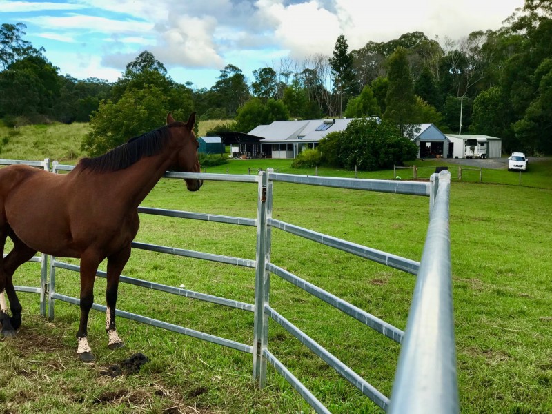 48 John Locke Place, Gleniffer NSW 2454